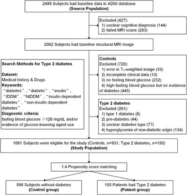 Effects of Subcortical Atrophy and Alzheimer’s Pathology on Cognition in Elderly Type 2 Diabetes: The Alzheimer’s Disease Neuroimaging Initiative Study